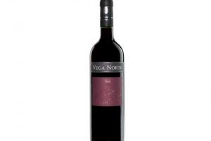 VINO TINTO VEGA NORTE
